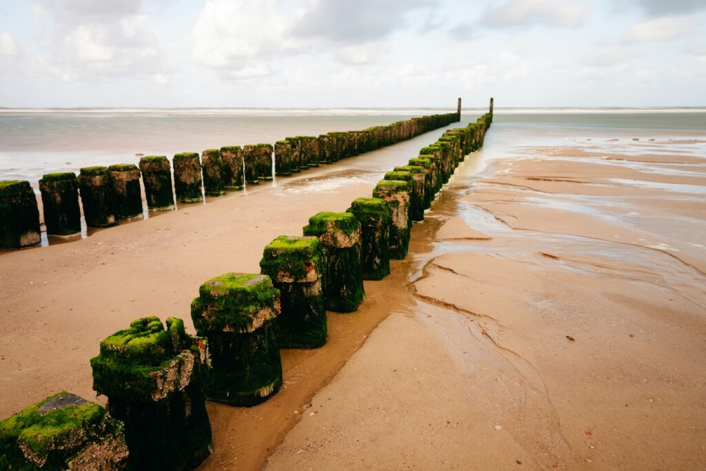 hofvanzeeland.nl